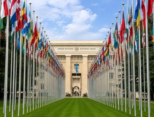 ECOSOC