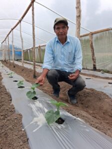 Seguridad alimentaria y nutricional