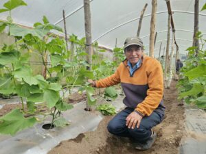 Seguridad alimentaria y nutricional