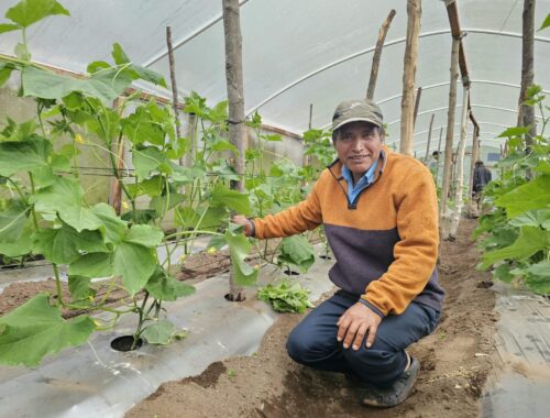 Seguridad alimentaria y nutricional