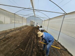 Seguridad alimentaria y nutricional